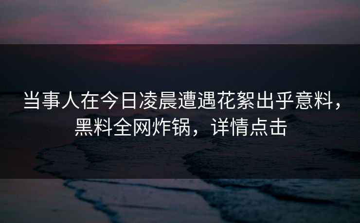当事人在今日凌晨遭遇花絮出乎意料，黑料全网炸锅，详情点击