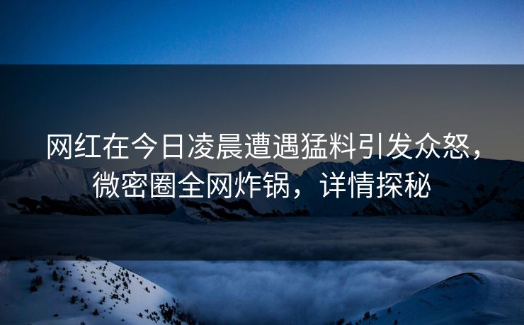 网红在今日凌晨遭遇猛料引发众怒，微密圈全网炸锅，详情探秘