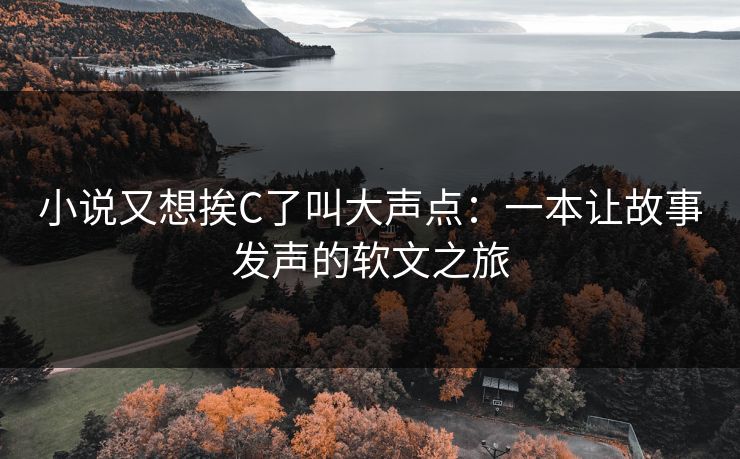 小说又想挨C了叫大声点:一本让故事发声的软文之旅 小说又想挨C了叫大声点:一本让故事发声的软文之旅